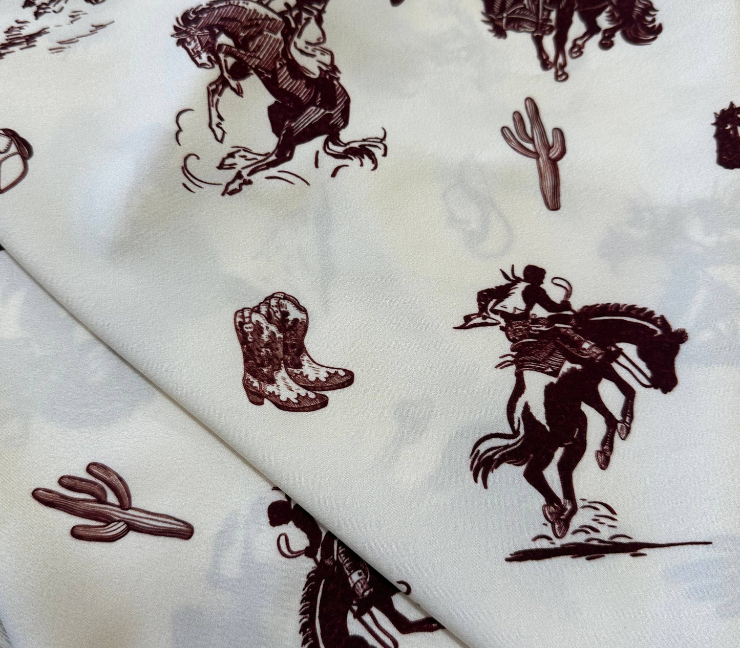 Western Cowboy Rodeo Print