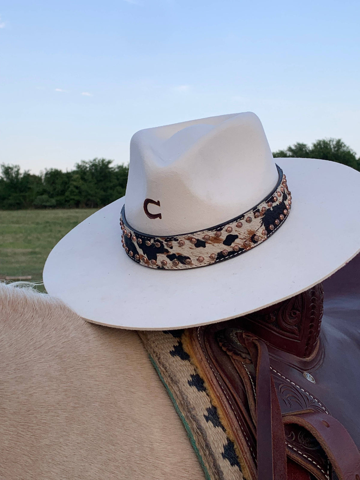 Western Hatbands